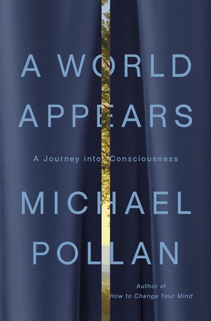 A World Appears A Journey into Consciousness