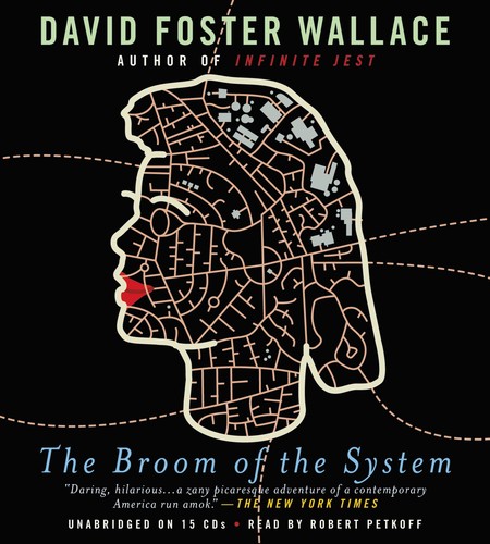 The Broom of the System